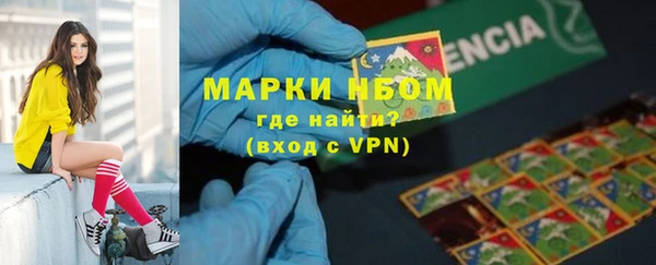 дмт Алзамай