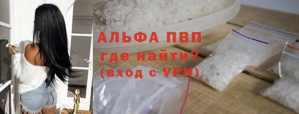 стаф Алексин