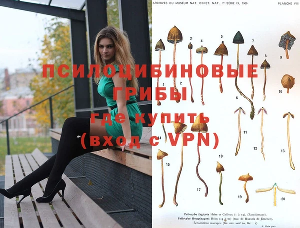 МДПВ Алексеевка